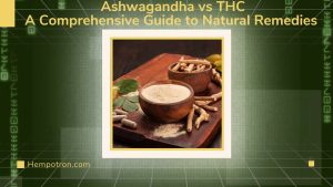 Ashwagandha vs THC: A Comprehensive Guide to Natural Remedies